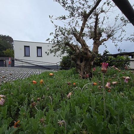 Casa Do Manuel Διαμέρισμα Santana  Εξωτερικό φωτογραφία